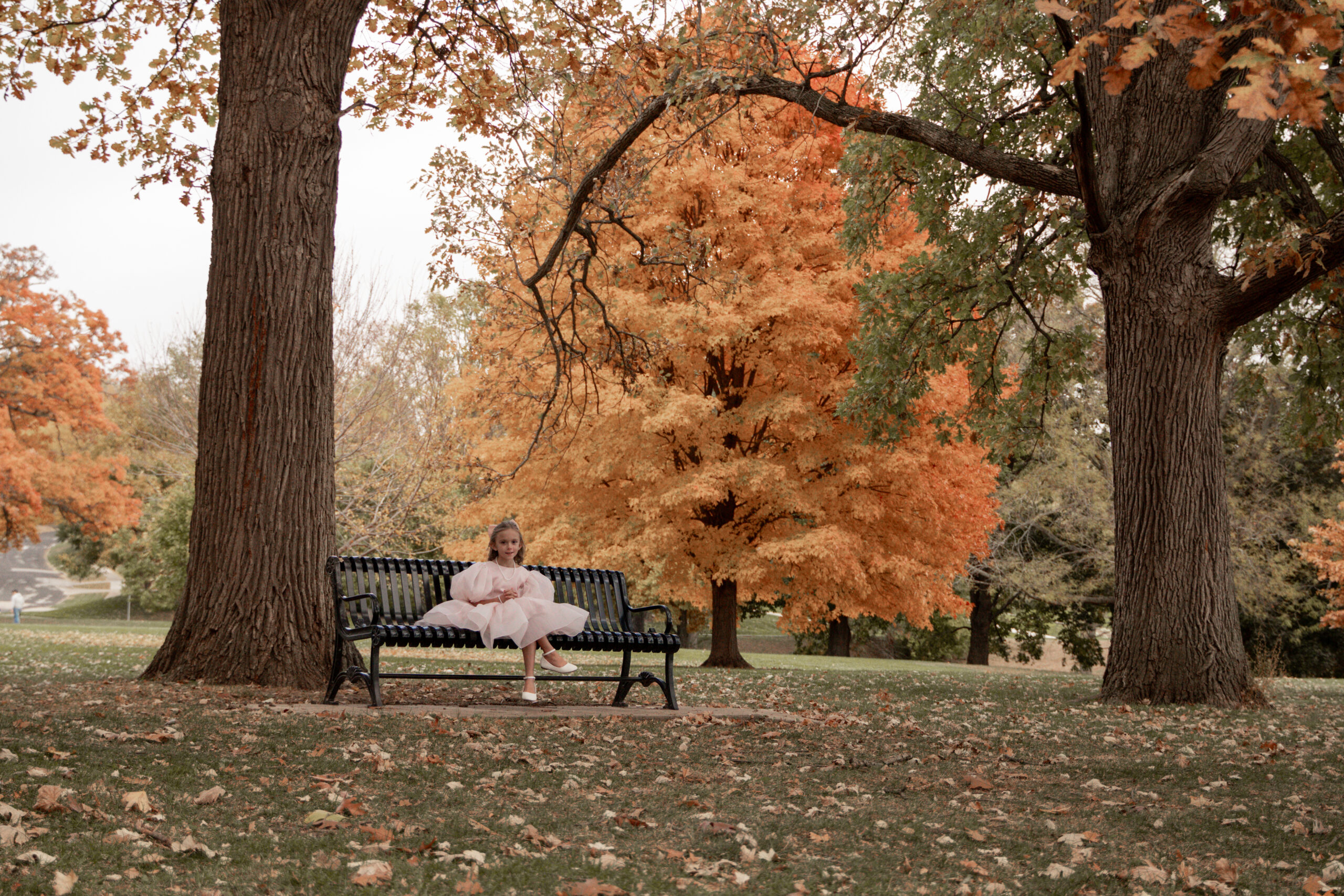 Little girl on a park bench surrounded by glowing fall trees in Davenport East Village