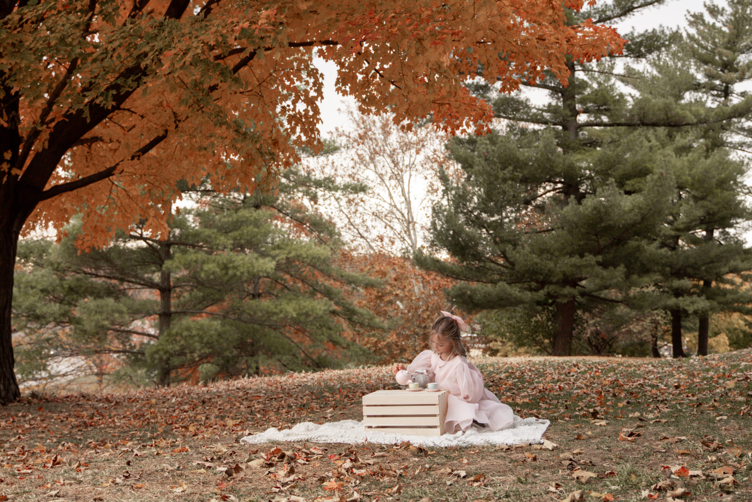 Detail of tea set and fall children’s photoshoot in Davenport