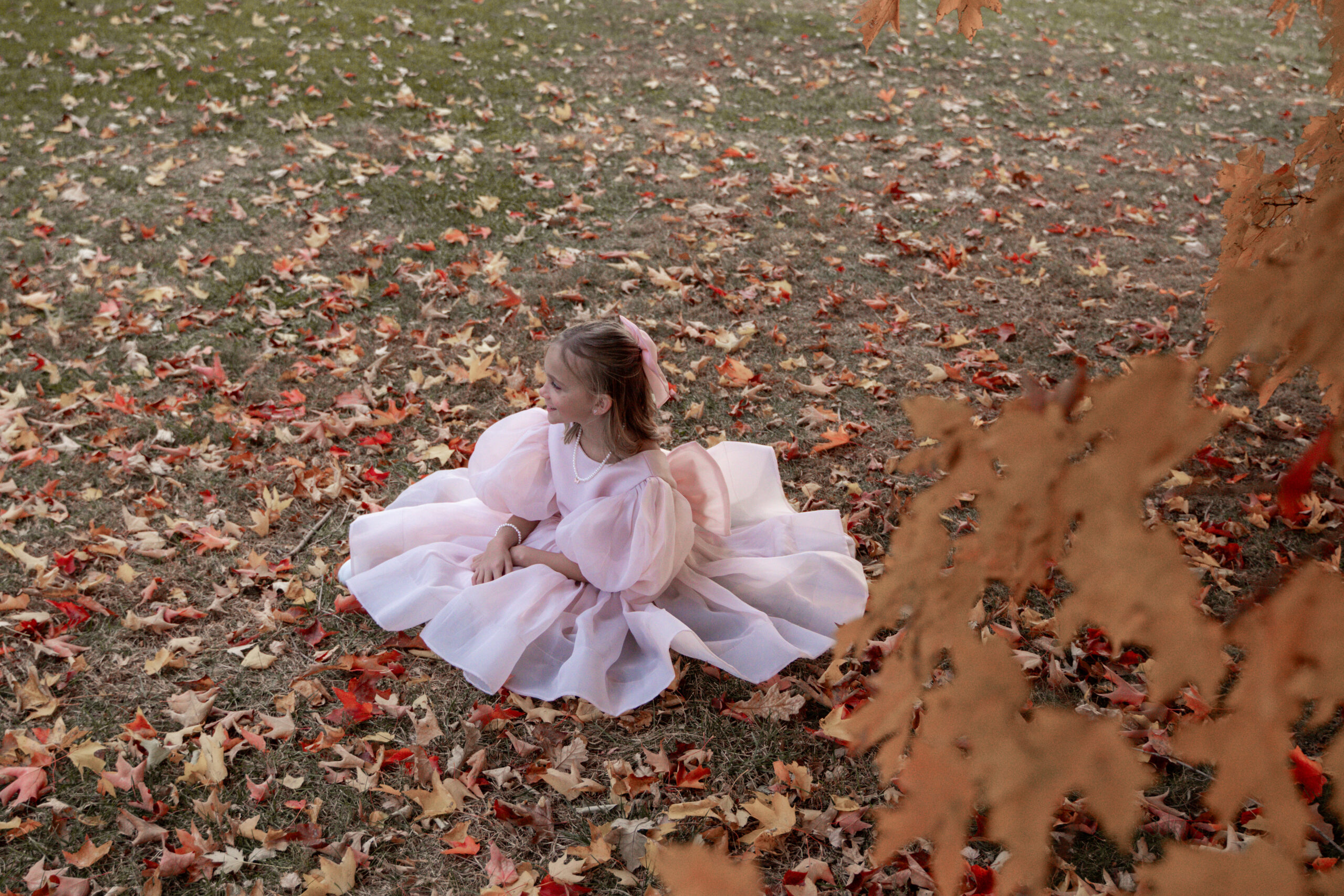 Back of pink bow dress during golden hour fall photoshoot in Davenport