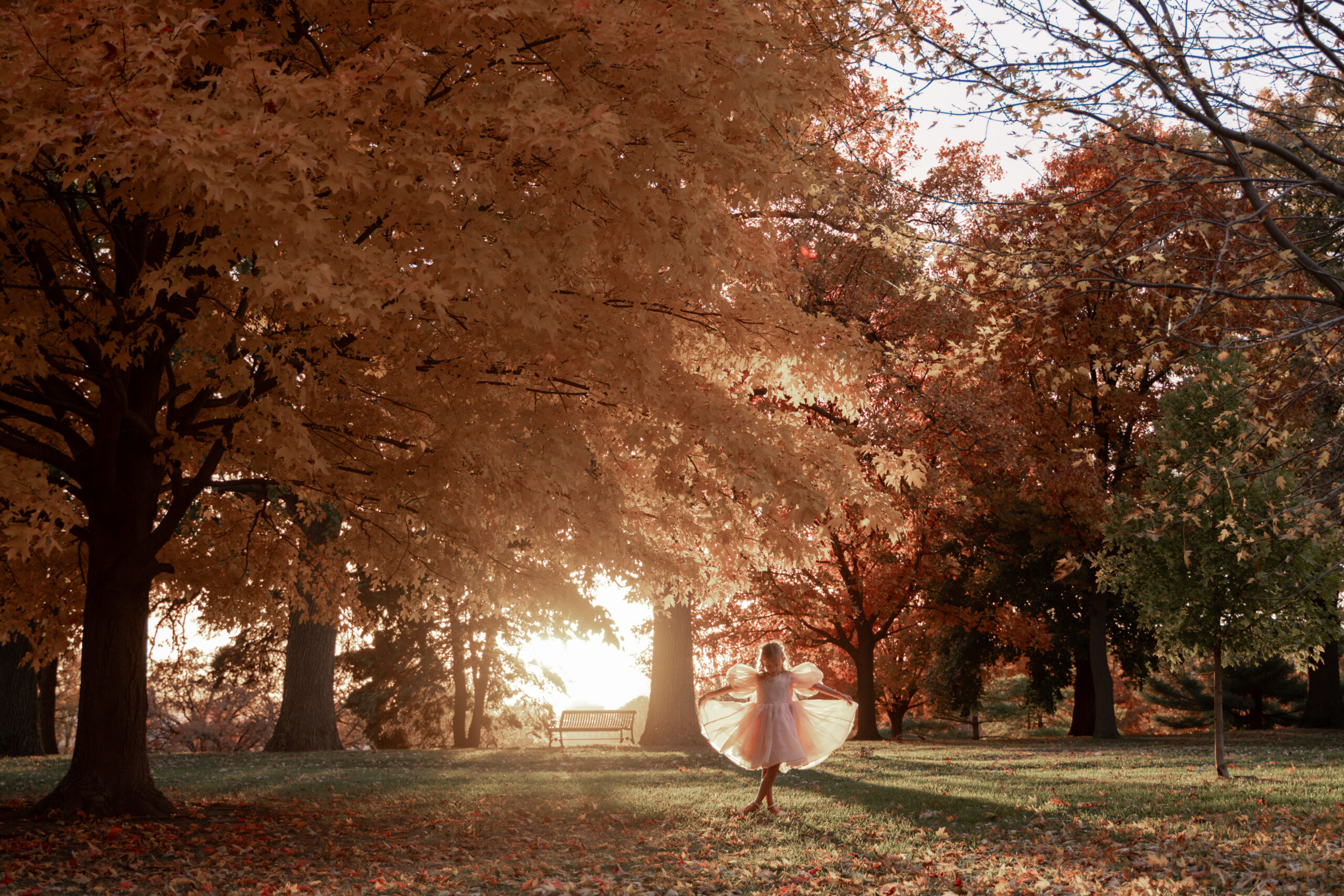 Sunset through orange fall trees in Davenport East Village